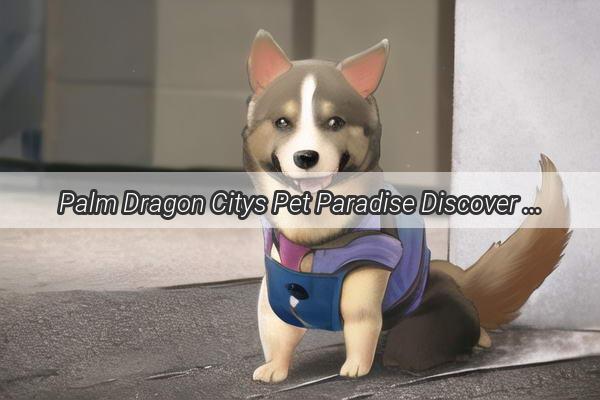 Palm Dragon Citys Pet Paradise Discover the Best Dog Breeders in Town